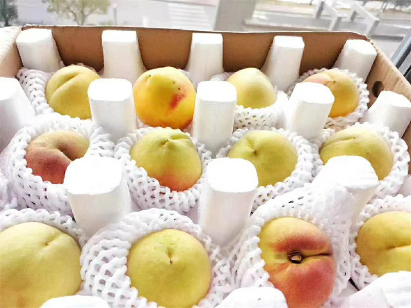 泡沫箱